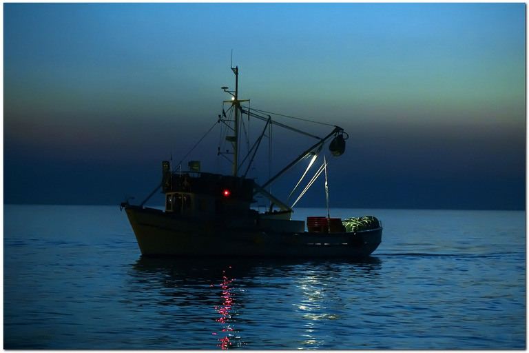 Odustajanje od ZERP-a poraz je UN-a - Net.hr