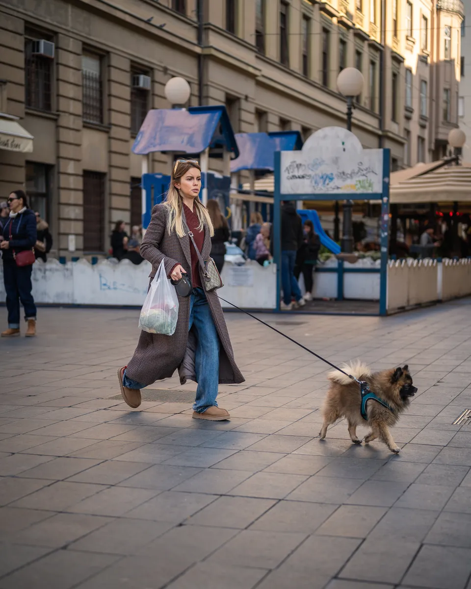 Zagrebačka špica - 16.11.2024.