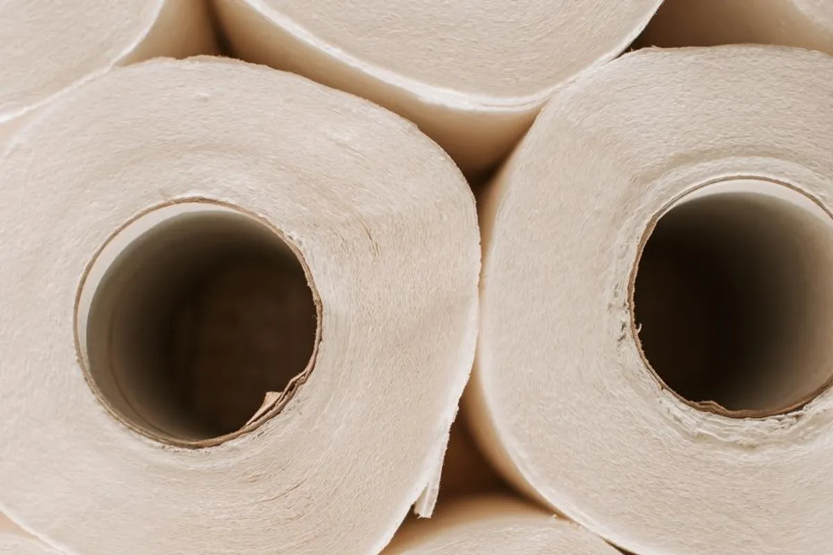 Kako iskoristiti role od wc papira?