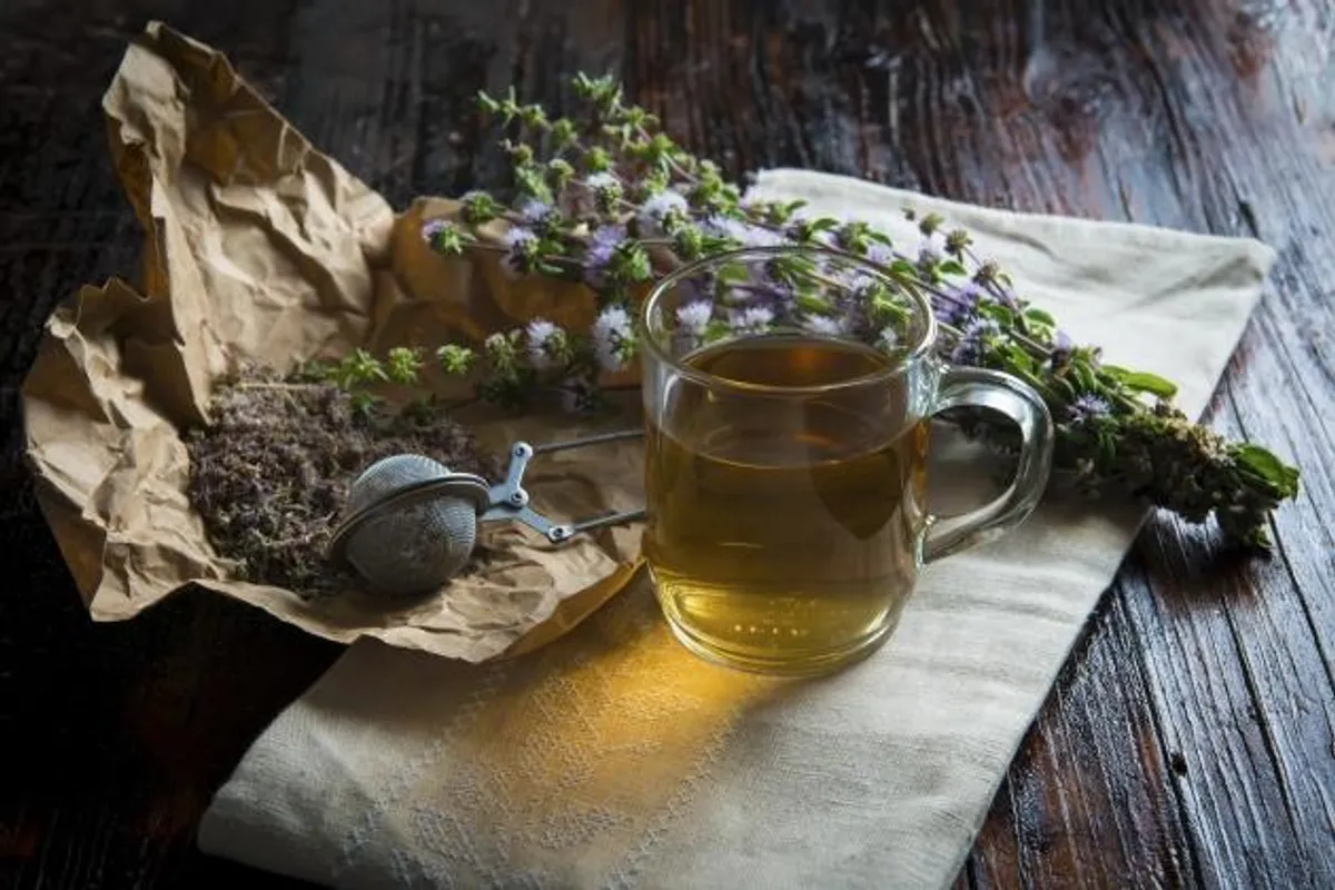 11 biljnih čajeva za dobru probavu