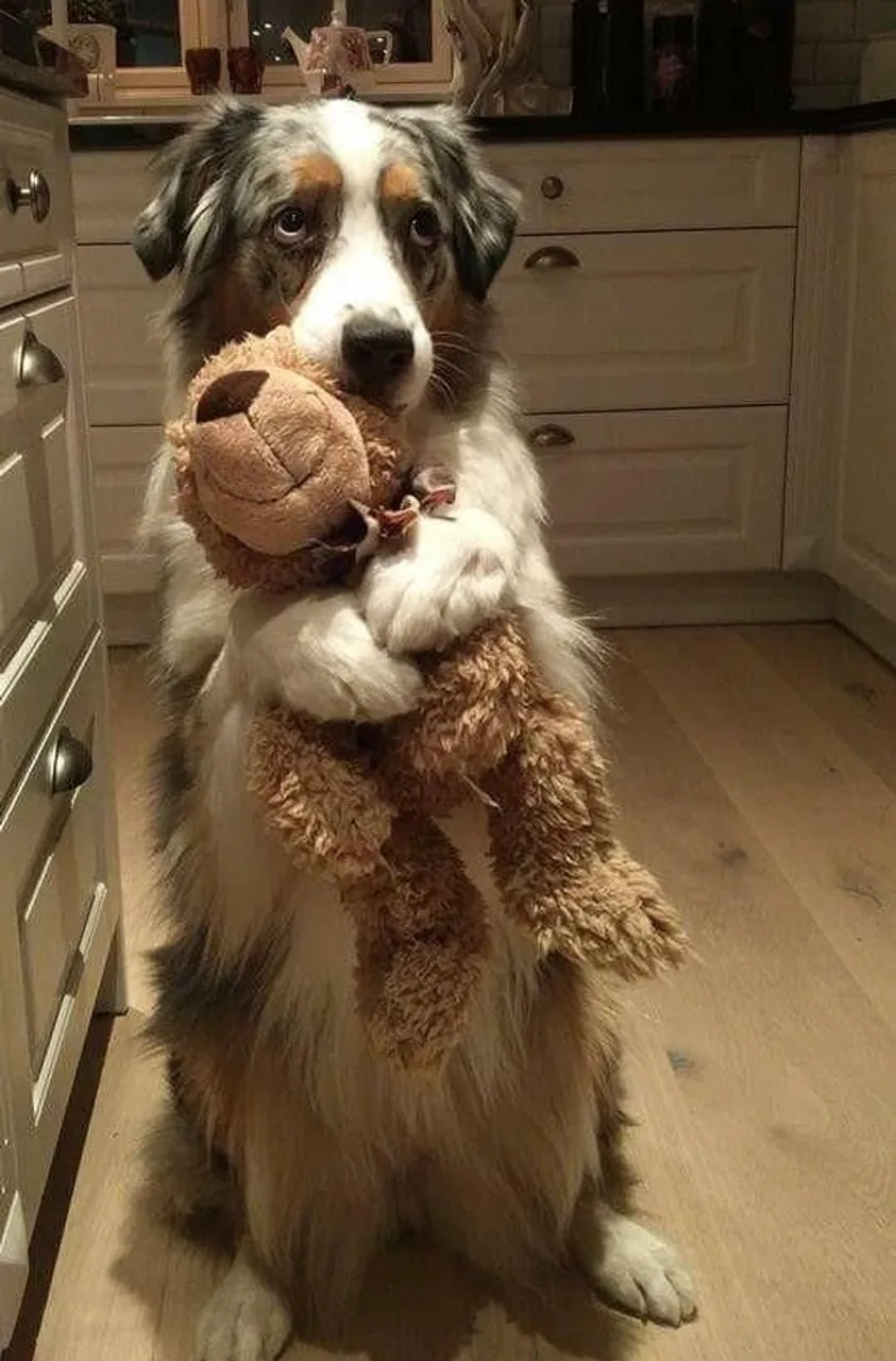 "Mogu li uzeti ovu igračku sa sobom u krevet?".
