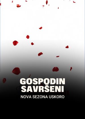 gospodin savršeni