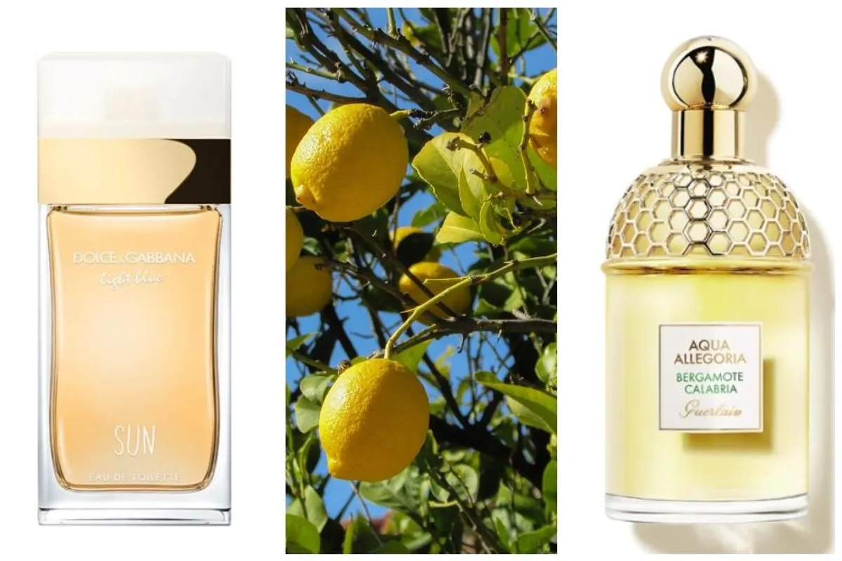 Mirisi ljeta: Citrusni parfemi savršeni su za duge vruće dane