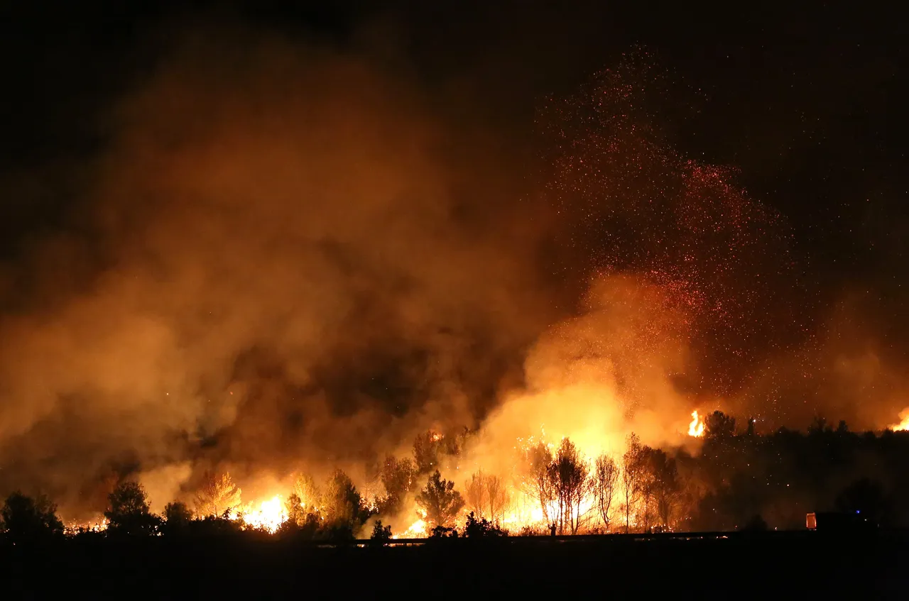 Vatrogasci se borili s velikim požarom kraj Vrpolja do ranih jutarnjih sati