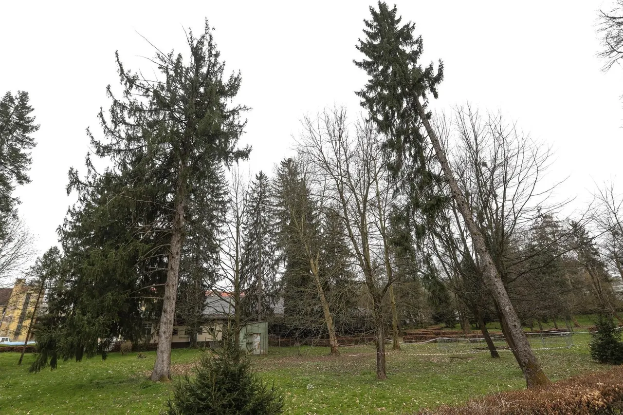 U Stubičkim Toplicama se nakon jakog potresa otvorila velika rupa u zemlji