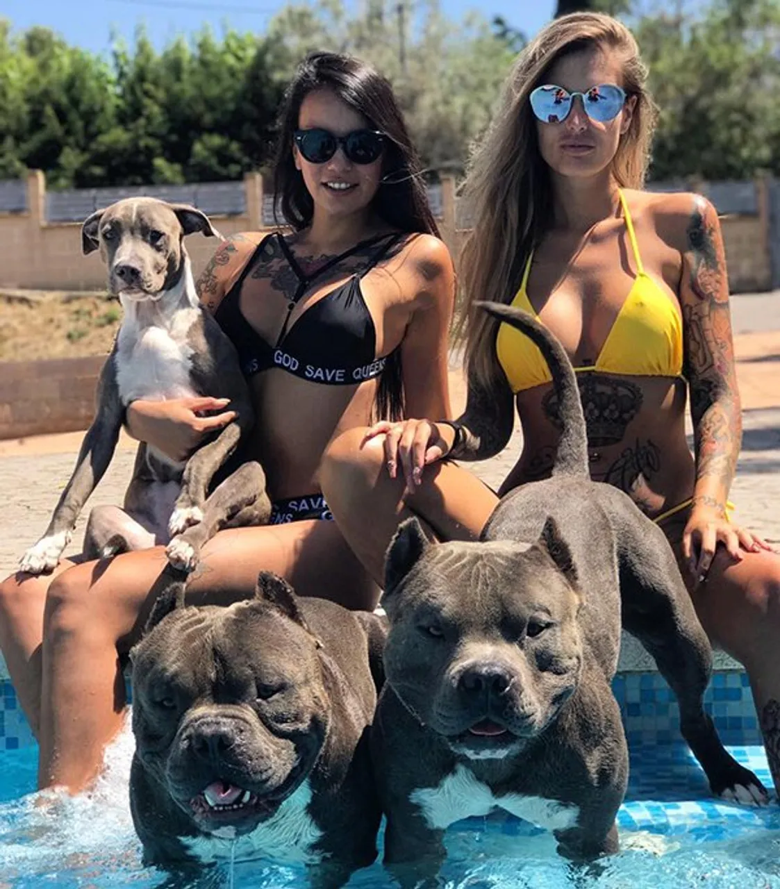 unleash-the-puppies-40-photos-7