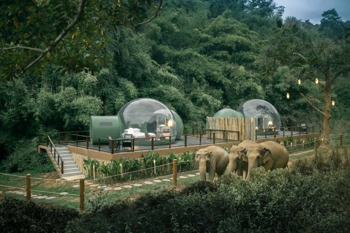 'Korona friendly': Ovo odmaralište u Tajlandu omogućuje spavanje pod zvijezdama sa slonovima