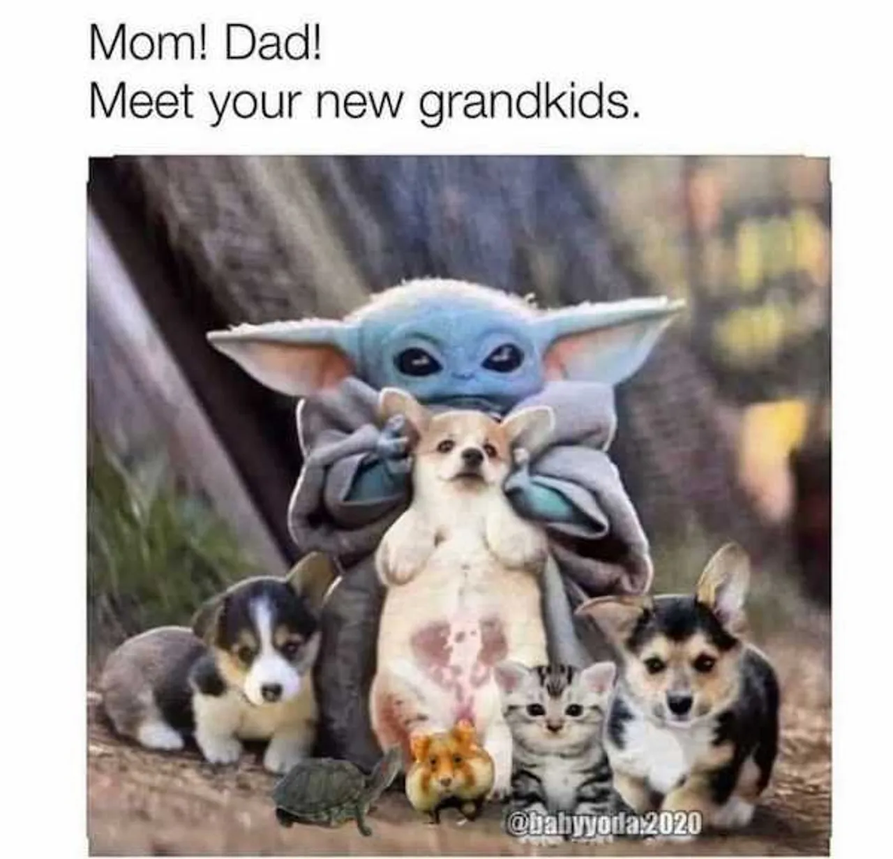 single-as-holy-hell-these-memes-are-for-you-xx-photos-12