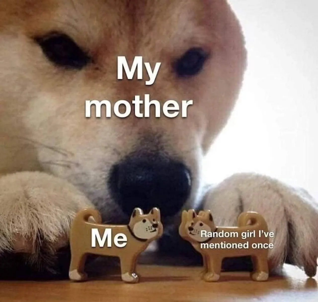 1312339002342367415677066542136100746636618o-fJpPxF