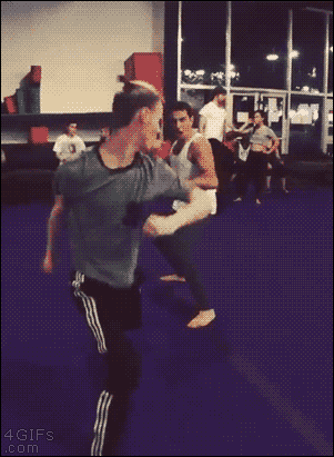 kung-fu-fighters-really-are-as-fast-as-lightning-x-gifs-1