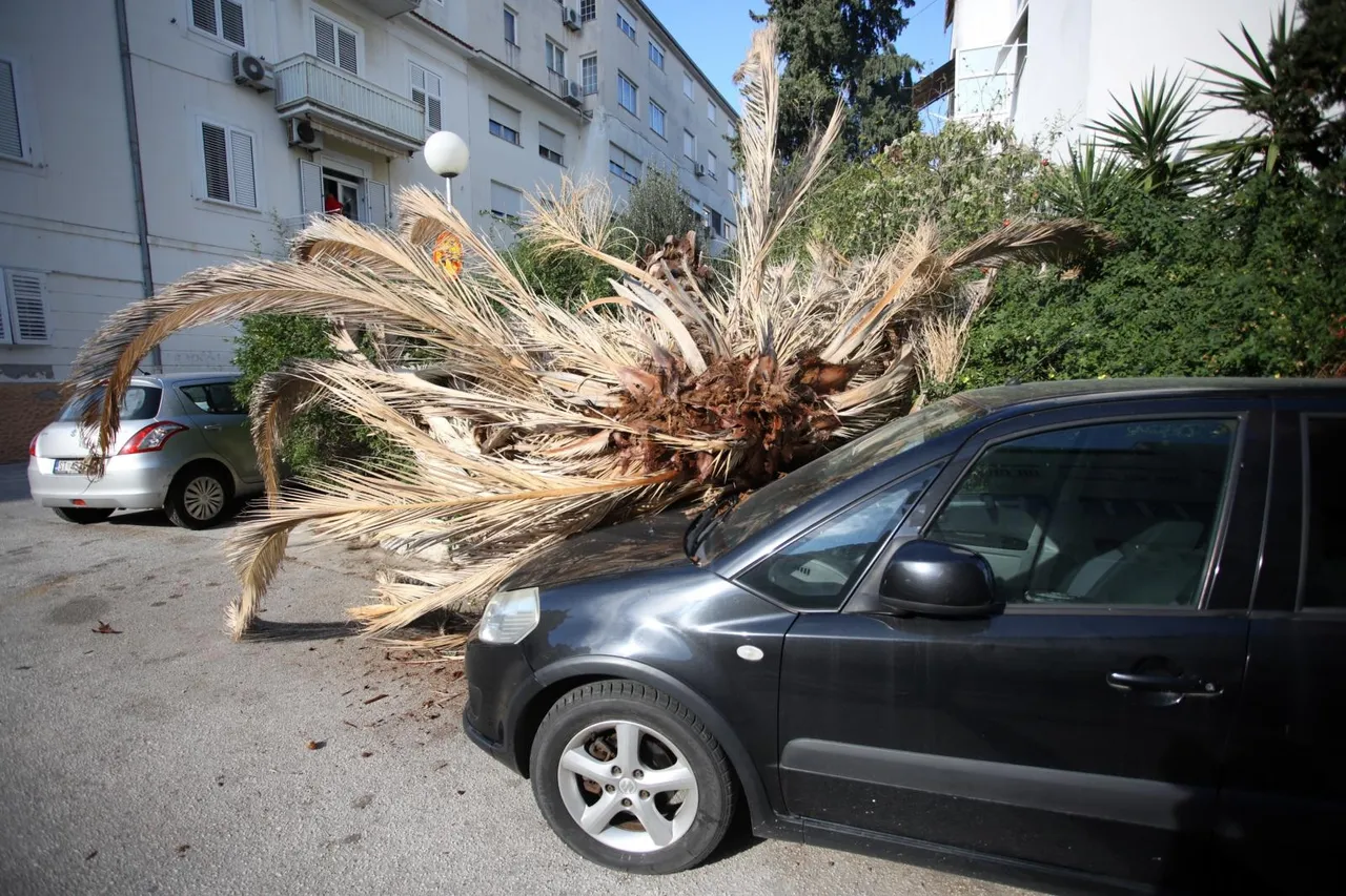 Palma mu pala na auto u Splitu