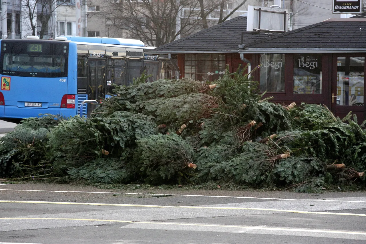 Svake godine ista priča u Zagrebu: odbačeni borovi leže na ulicama nakon završenih božićnih blagdana