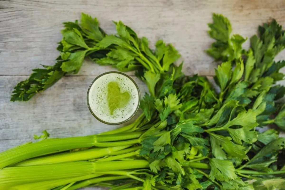 Sok od celera jedan je od popularnijih zdravih napitaka, a evo i zašto