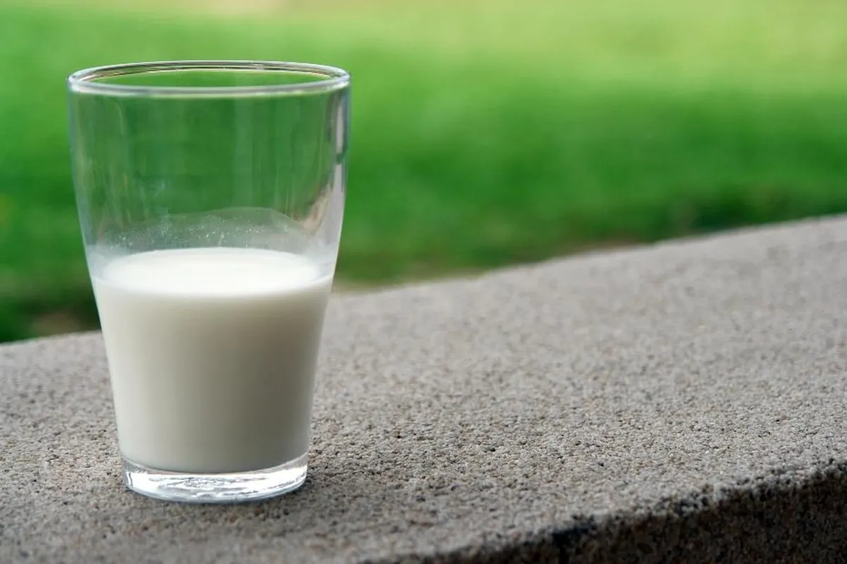 Razlika između svježeg i trajnog mlijeka