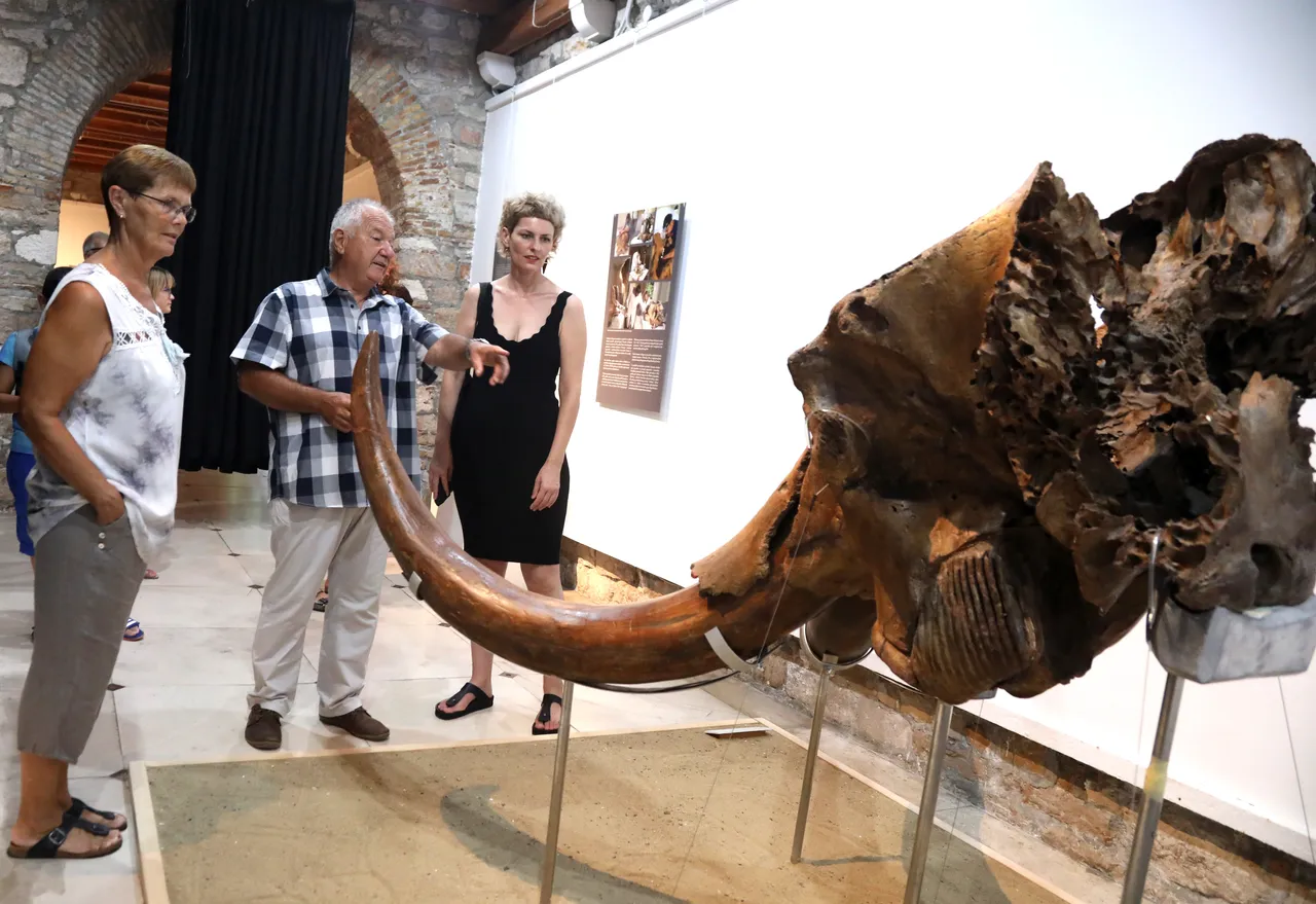 muzej mamut šibenik