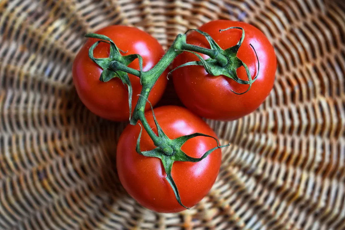 tomato-3520004_1920.jpg