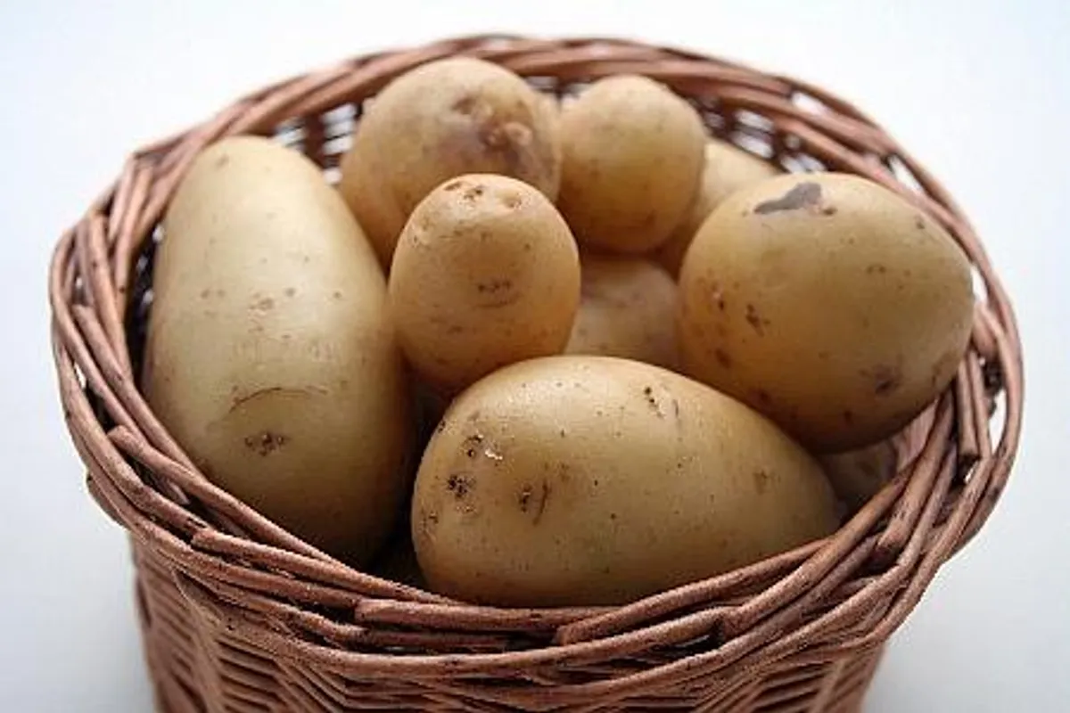 Krumpir je zdrav i ne deblja