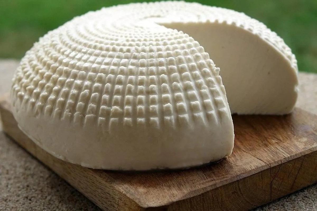 Savjeti kako osušiti svježi sir