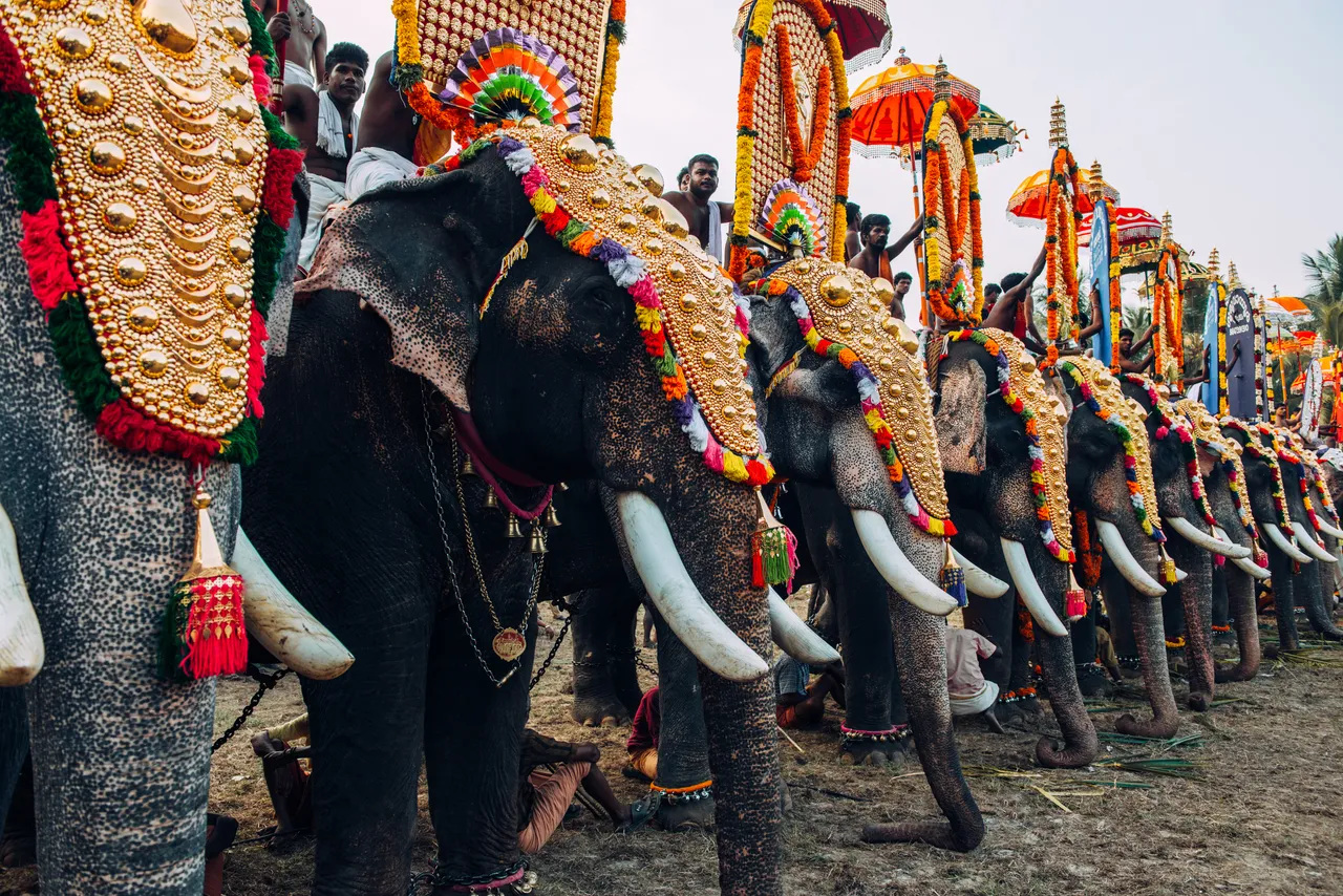 18. Kerala, Indija