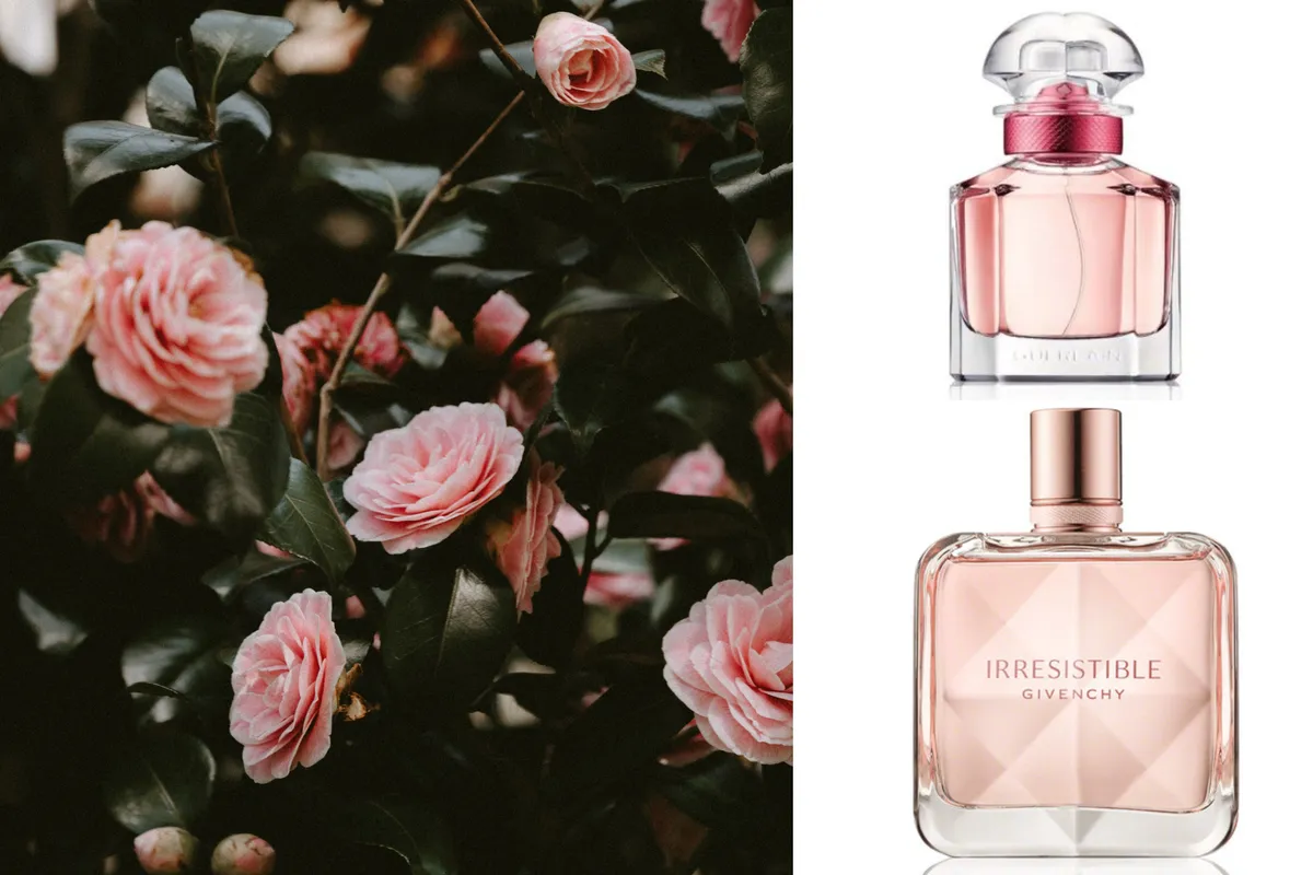 parfemi s mirisom ruže.jpg