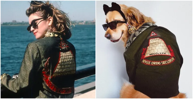 Prima donna: Ovaj pas je savršeno iskopirao sve Madonnine ikonske fotografije
