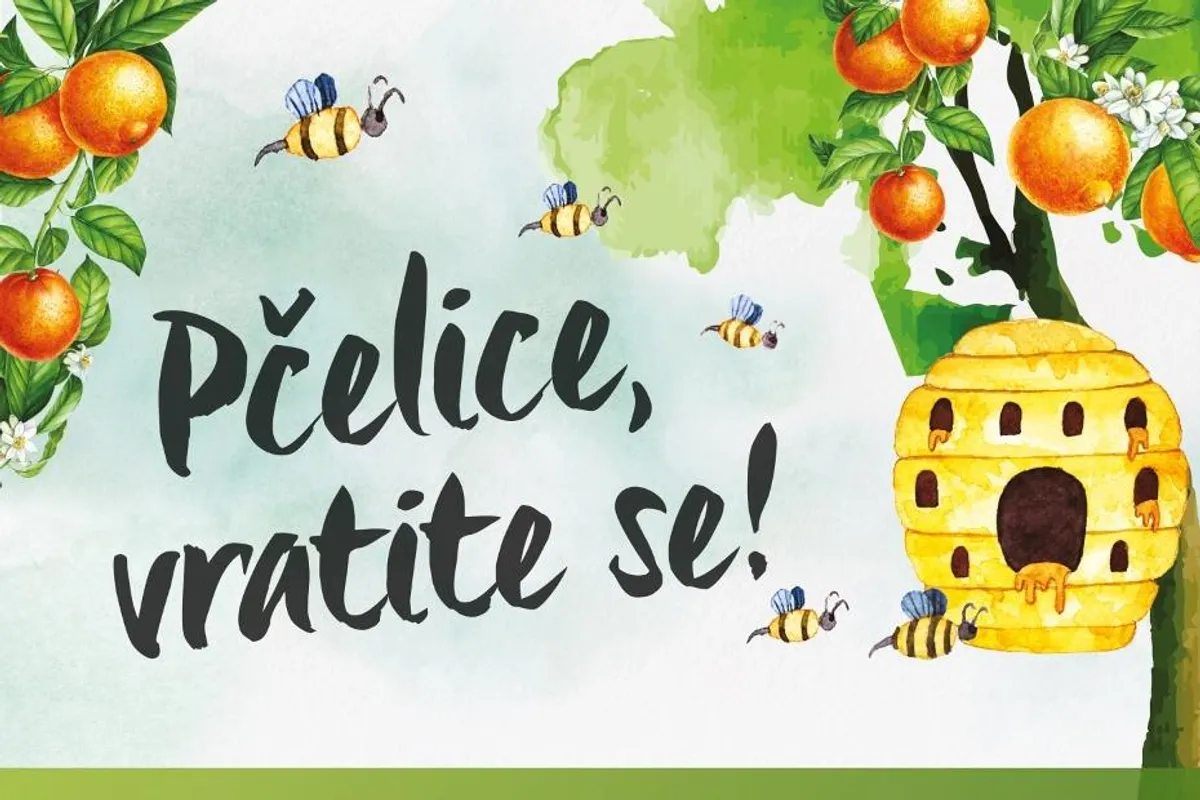 Priključite se kampanji 'Pčelice, vratite se!' i pomozite im da prežive u prirodnim staništima diljem Hrvatske