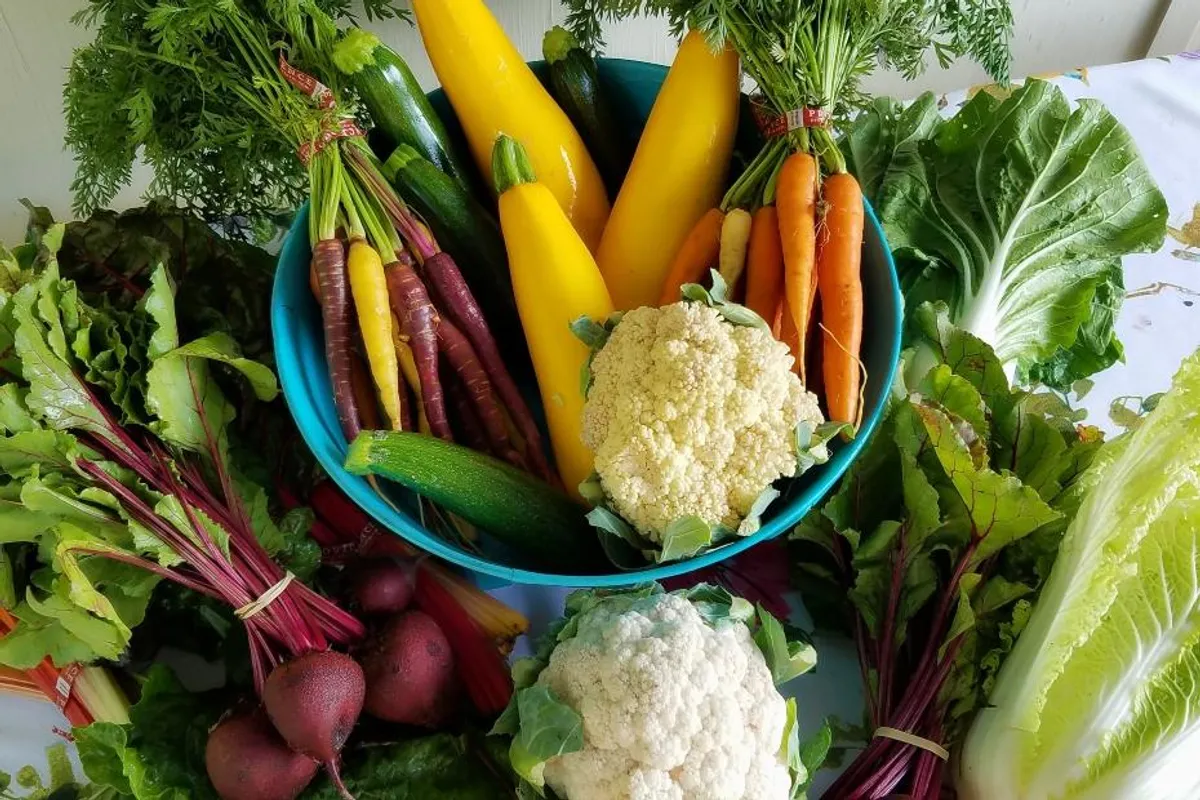 Šarenilo na tanjuru: Najzdravije vrste povrća koje bi trebala uključiti u svoju prehranu