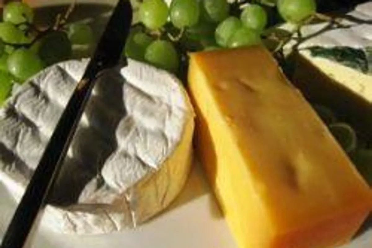 Kulinarski tečajevi za ljubitelje sira
