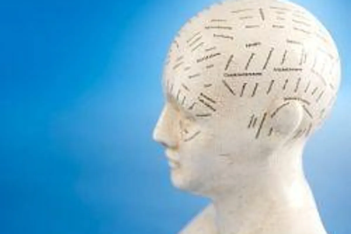 Mentalne mape – neka vam informacije ostanu u mozgu