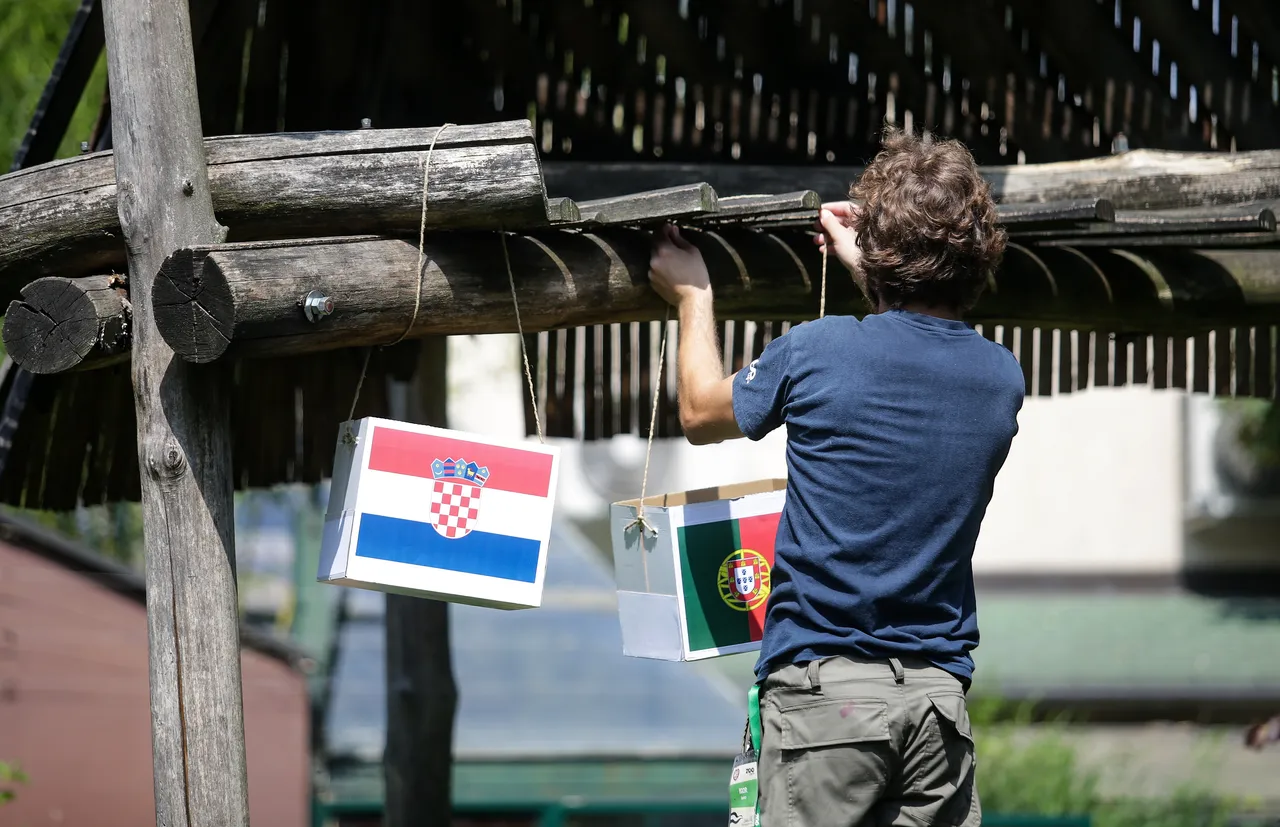 Gibon Kenti ponovo prognozirao pobjedu Hrvatske na Euru