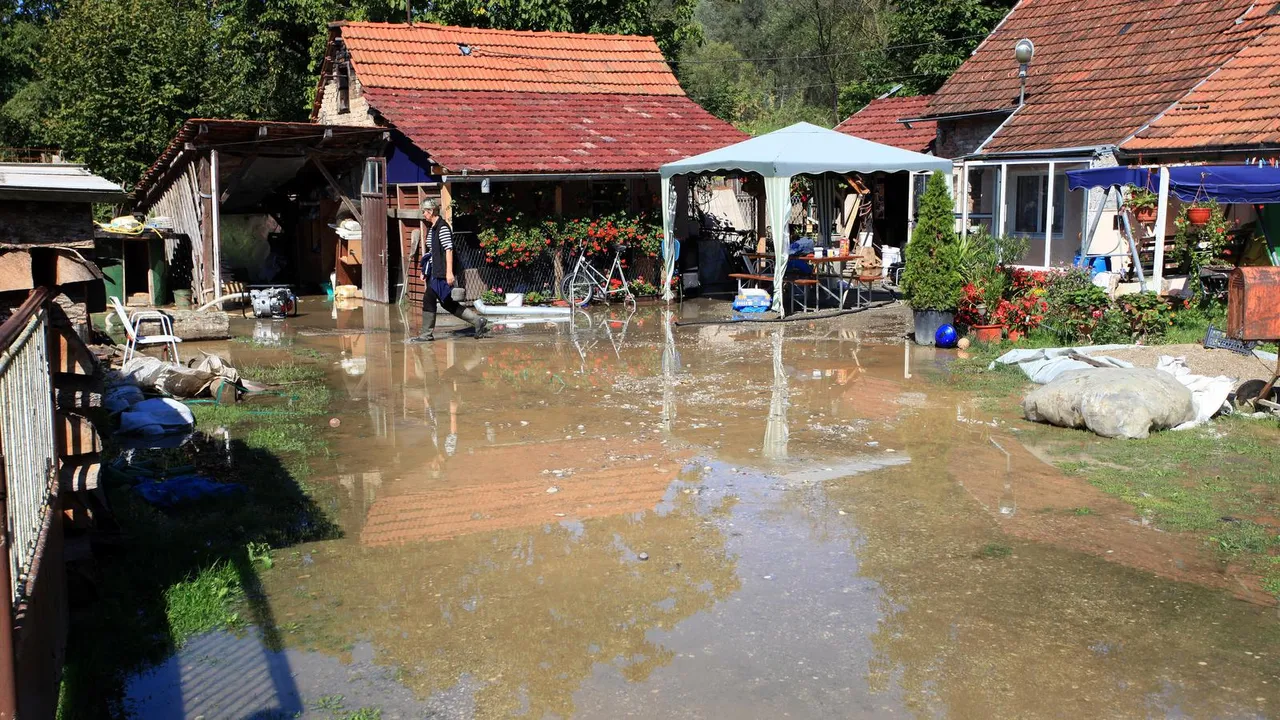 Poplava Save 2010. godine