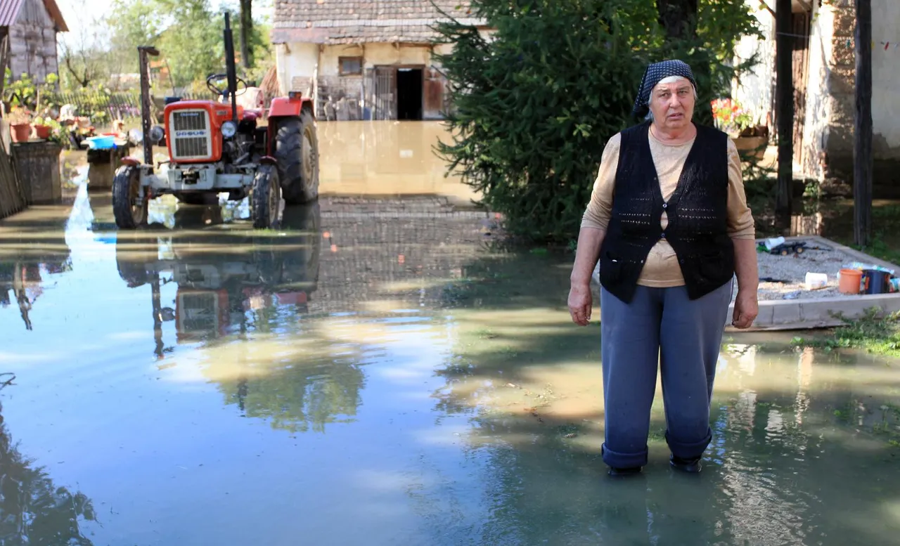 Poplava Save 2010. godine