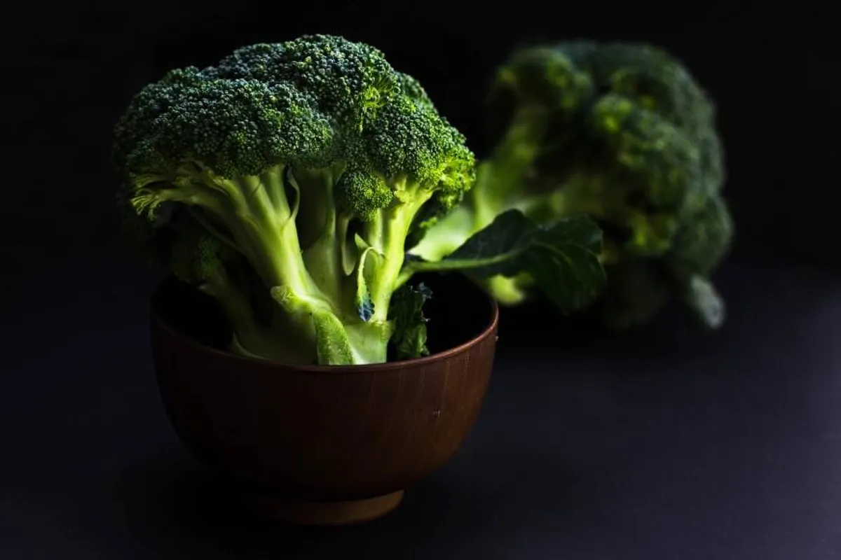 Namirnica u fokusu: Brokula – savršena jela za svaki dan!