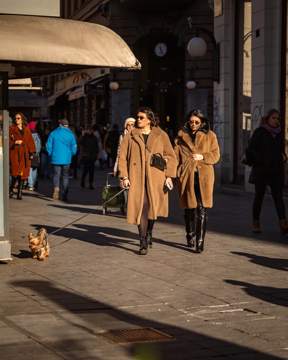 Zagrebačka špica - 23.11.2024.