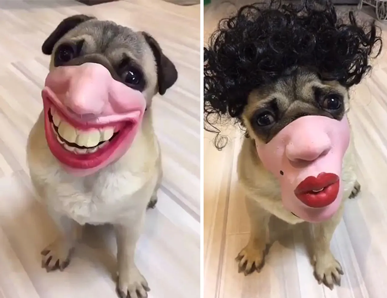Amazon je krenuo prodavati brnjice za pse koje izgledaju kao ljudska lica i ne znamo što reći na to
