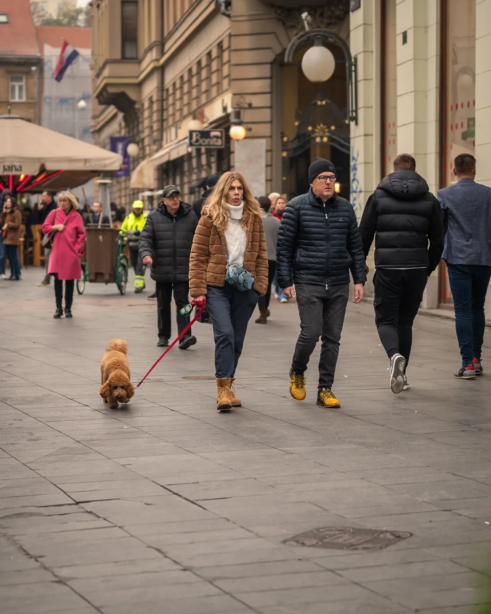 Zagrebačka špica - 9.11.2024.