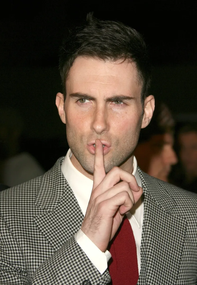 2013.: Adam Levine 