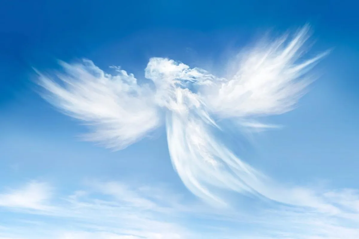 Vaša poruka za narednu godinu: koji vas anđeoski broj najviše privlači?