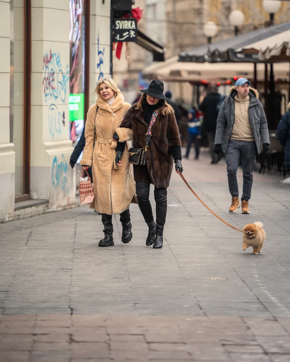 Zagrebačka špica - 4.1.2025.