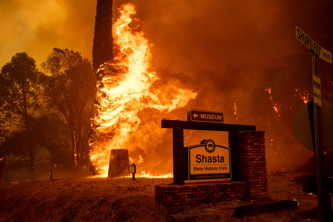 U požaru u Kaliforniji poginula jedna osoba, stanovnici u bijegu
