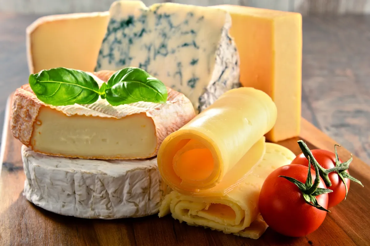 Najzdraviji sir
