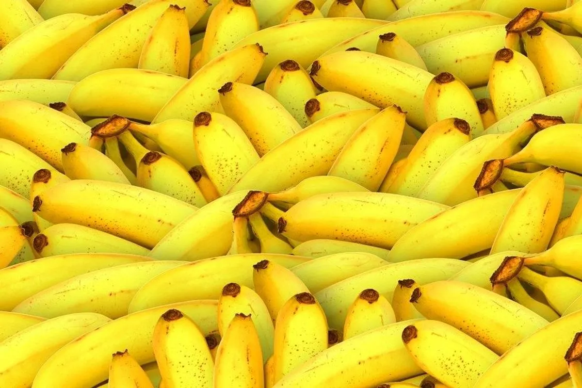 Gdje i kako je najbolje čuvati banane