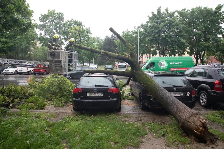 Zagreb: Nevrijeme srušilo stablo na parkirane automobile u ulici Ivane Brlić Mažuranić