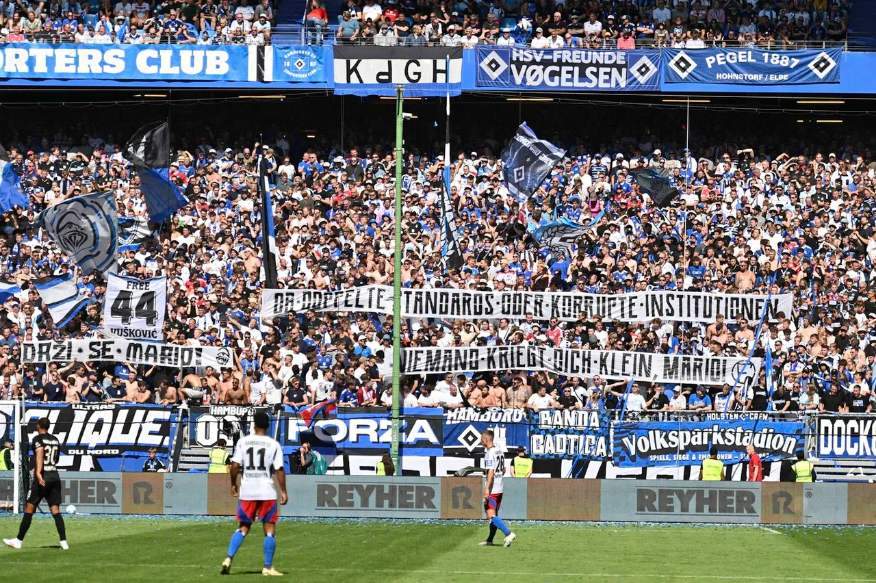 Mario Vušković HSV