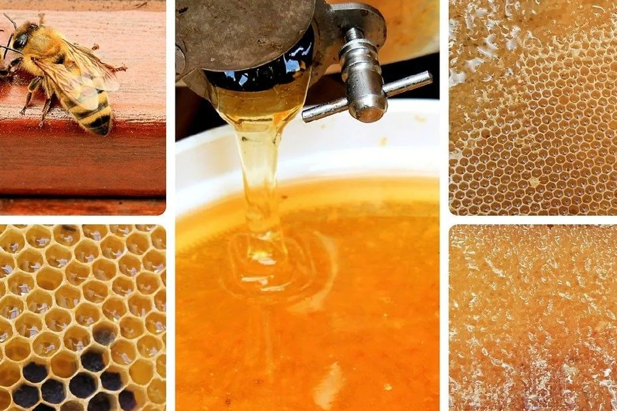 Savjeti kako otopiti kristalizirani med
