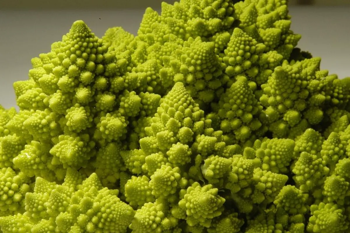 Romanesco brokula – zdrava namirnica koja izgleda kao da nije s ovog svijeta, evo kako ju pripremiti
