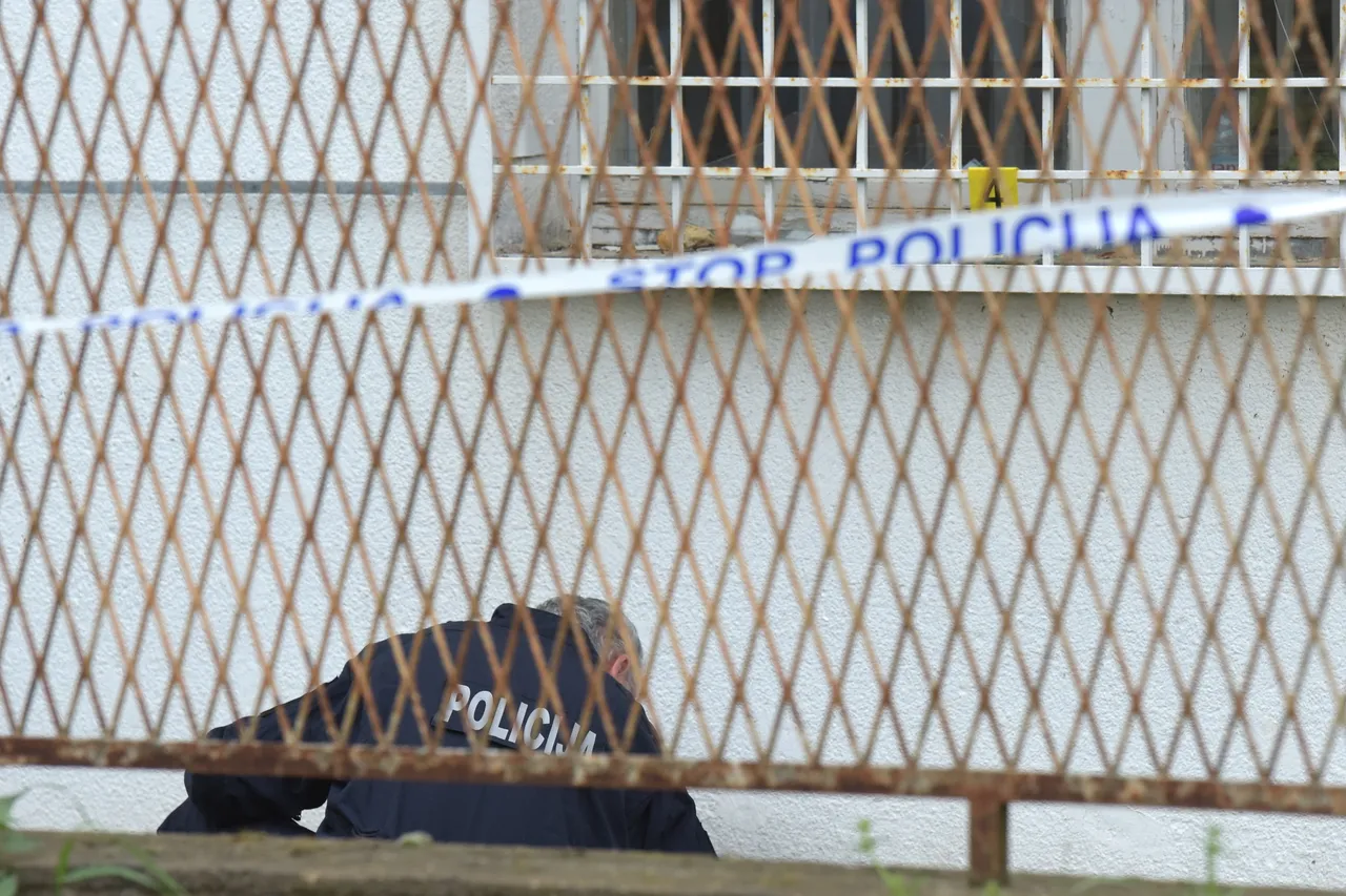 Zadar: u dvorište PU zadarske noćas bačena ručna bomba