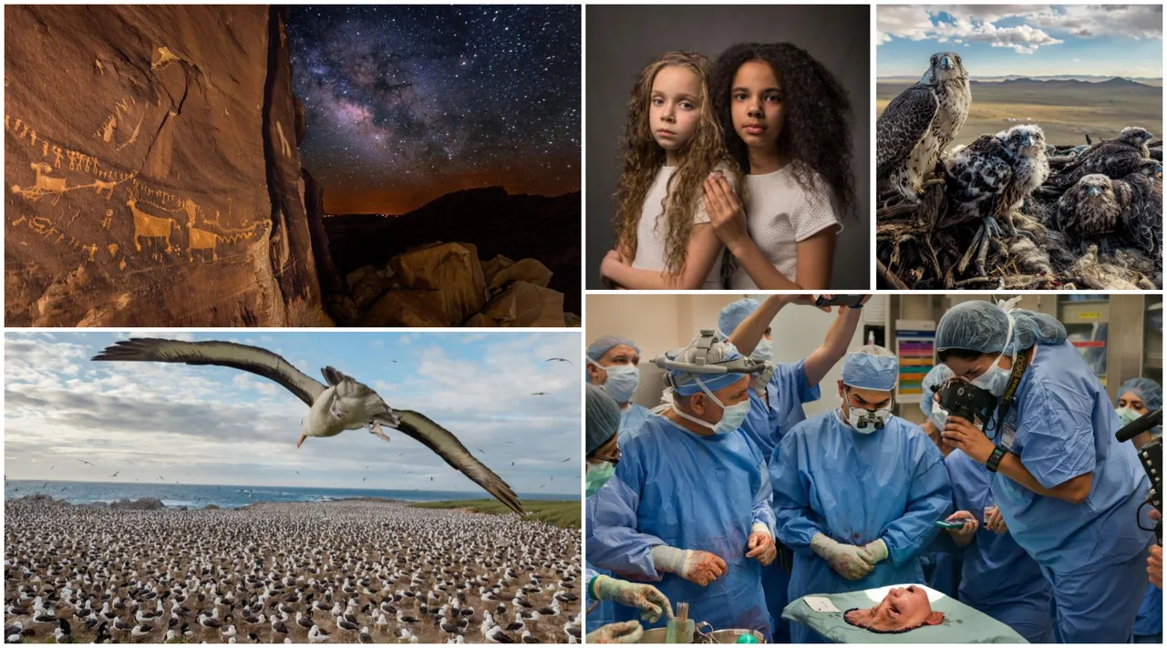 National Geographic izabrao 100 najboljih slika ove godine, evo kojih je 20 nas oduševilo