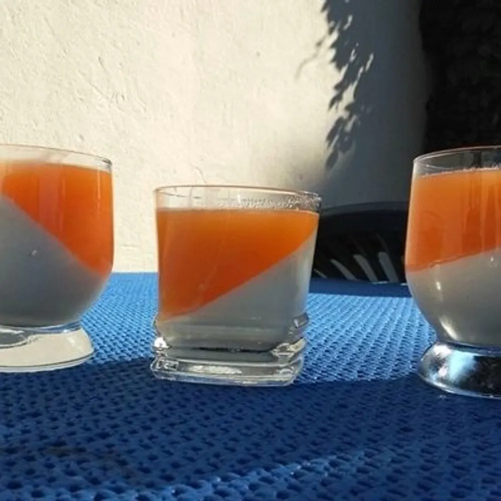 Panna Cotta u čaši