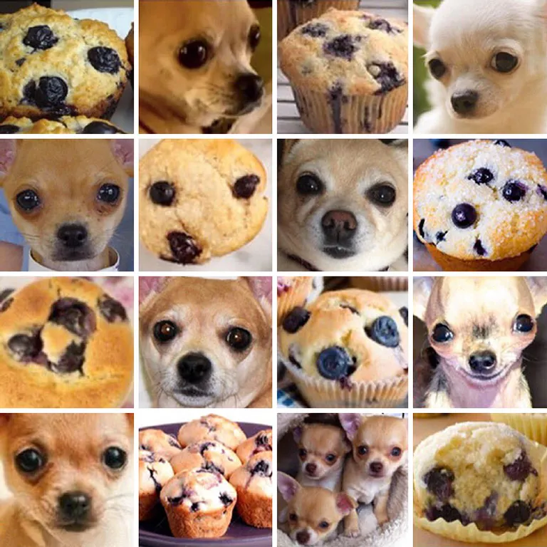 Psići ili hrana? 10 slika koje će vas natjerati da preispitate stvarnost